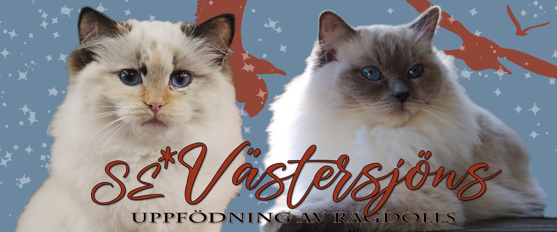 SE*Västersjöns
